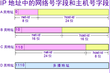 ip地址分类